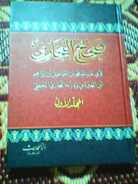  bntpal.com_144422761