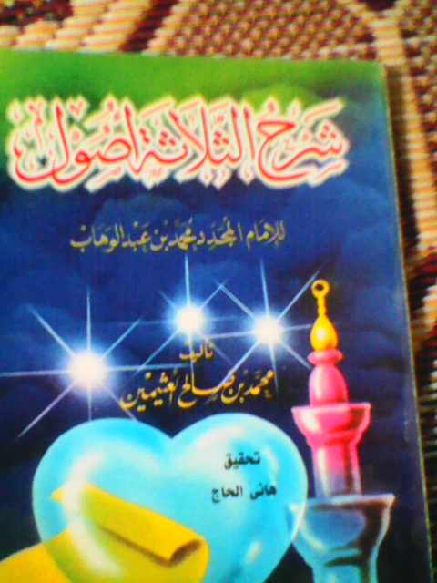  bntpal.com_144422761