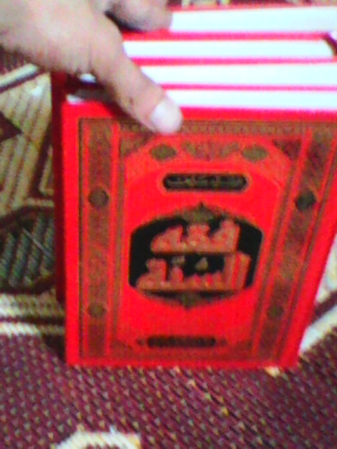  bntpal.com_144422811