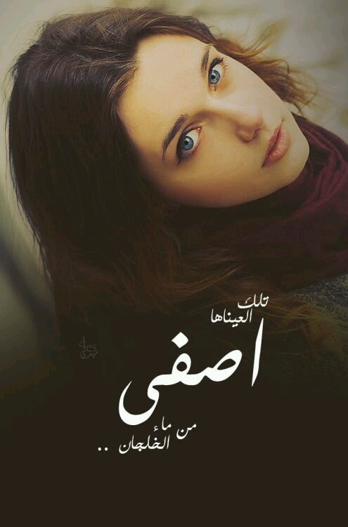   bntpal.com_144467878