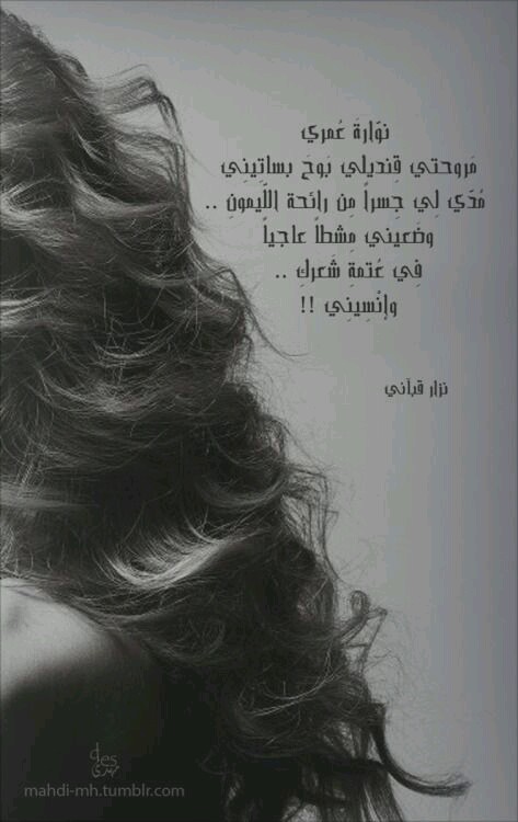   bntpal.com_144467878