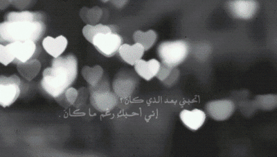   bntpal.com_144467878