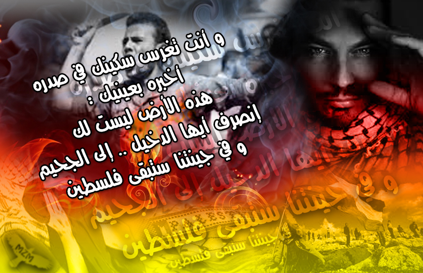 bntpal.com_144481652