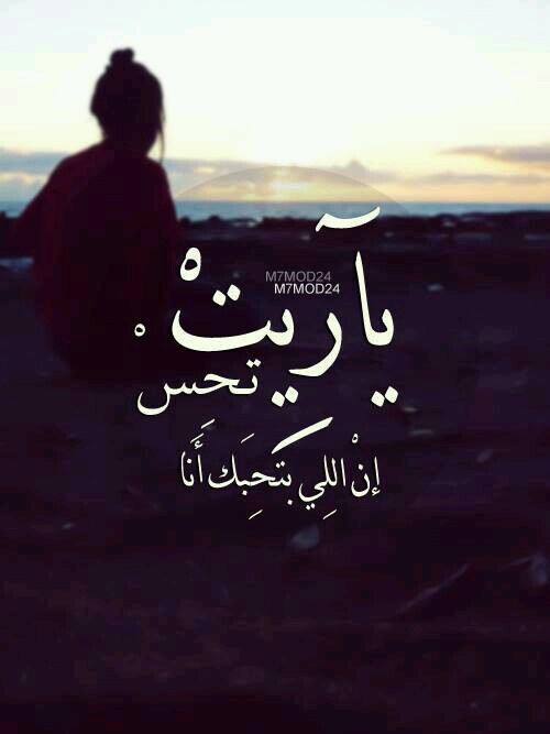 ♥ bntpal.com_144486746
