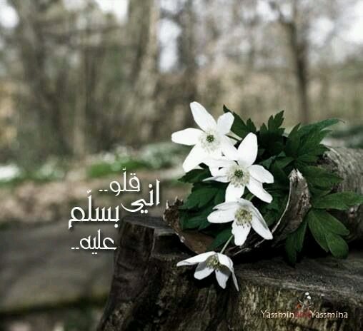 ♥ bntpal.com_144486746