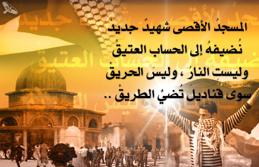 bntpal.com_144577273