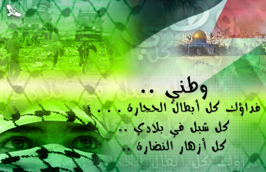  bntpal.com_144585531