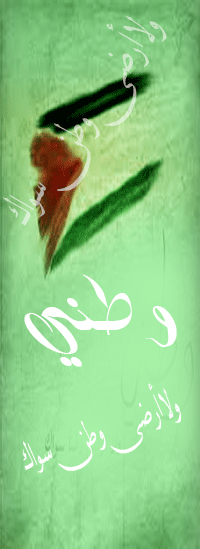  (  bntpal.com_144586004