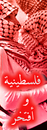  (  bntpal.com_144586004