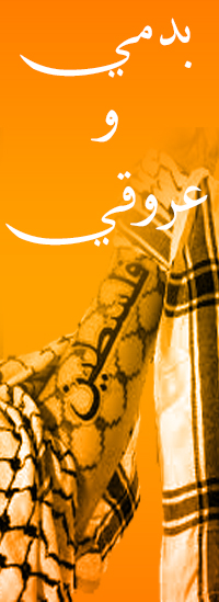  (  bntpal.com_144586014