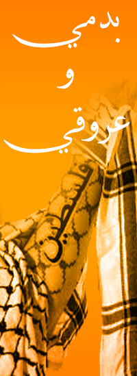  (  bntpal.com_144586014