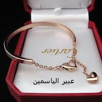 bntpal.com_144596920