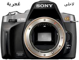 bntpal.com_144596920
