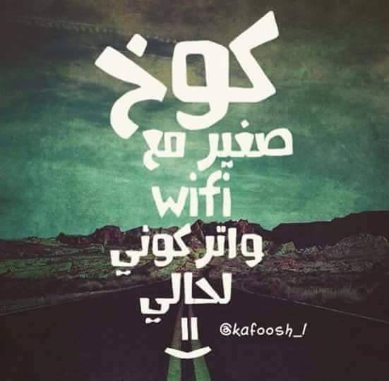 bntpal.com_144597797