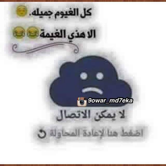bntpal.com_144597797