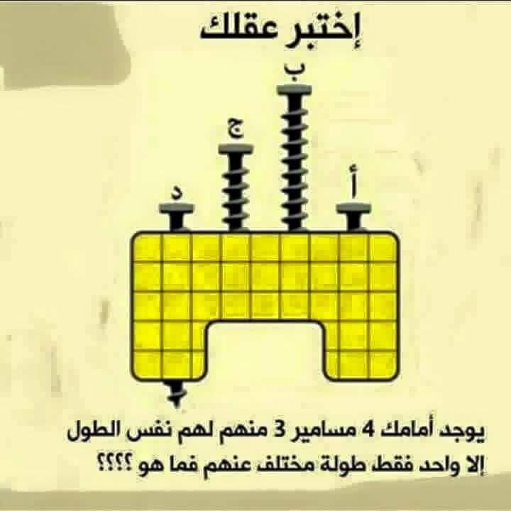 bntpal.com_144612402