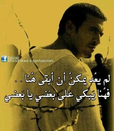 ☺ bntpal.com_144622428