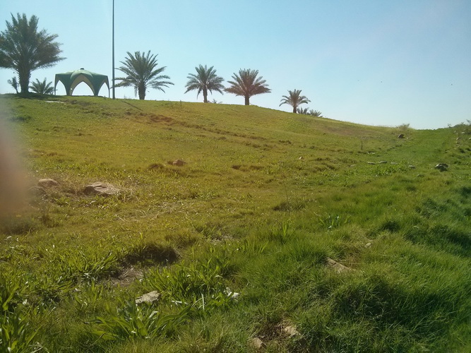 bntpal.com_144631601