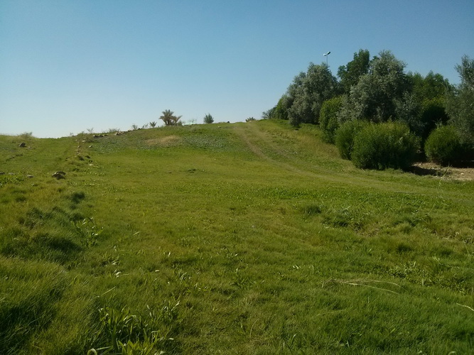 bntpal.com_144631601