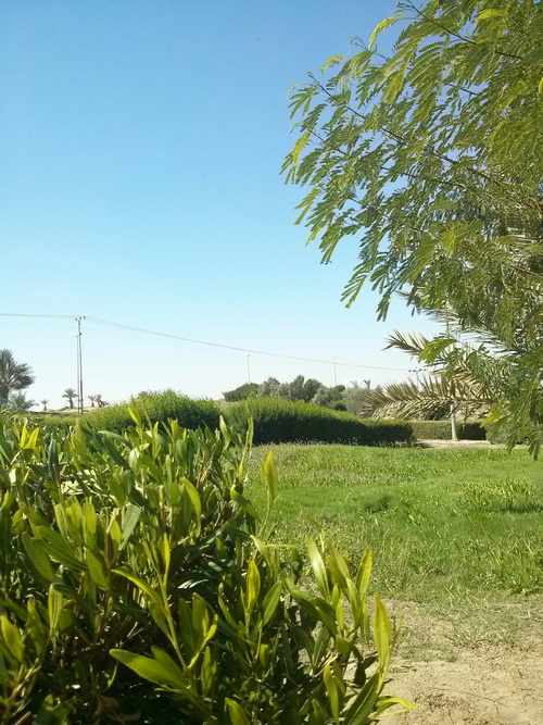 bntpal.com_144631601