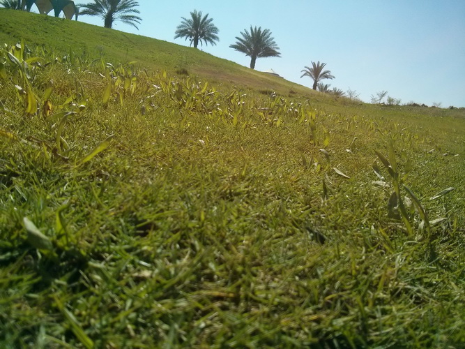 bntpal.com_144631601