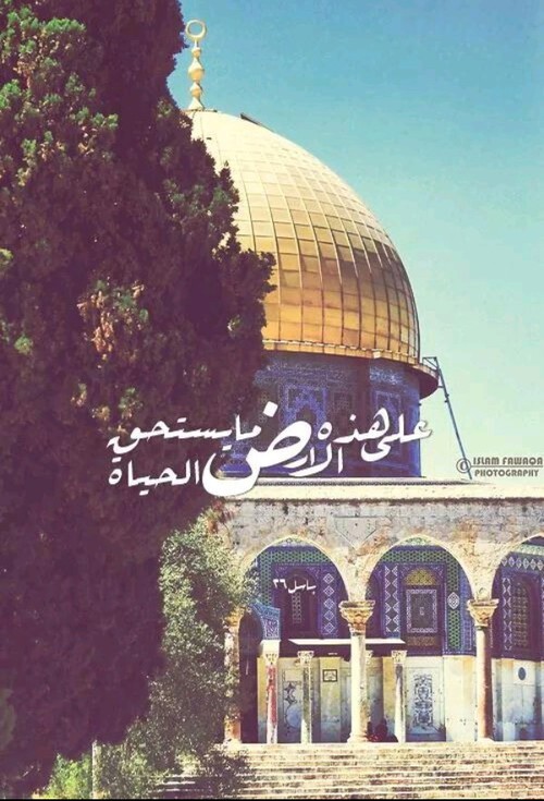  ★ bntpal.com_144640306
