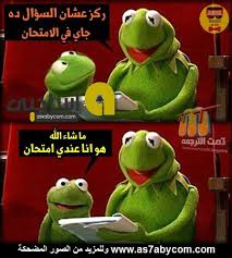 bntpal.com_144640601