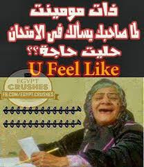 bntpal.com_144640601