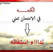 bntpal.com_144640601