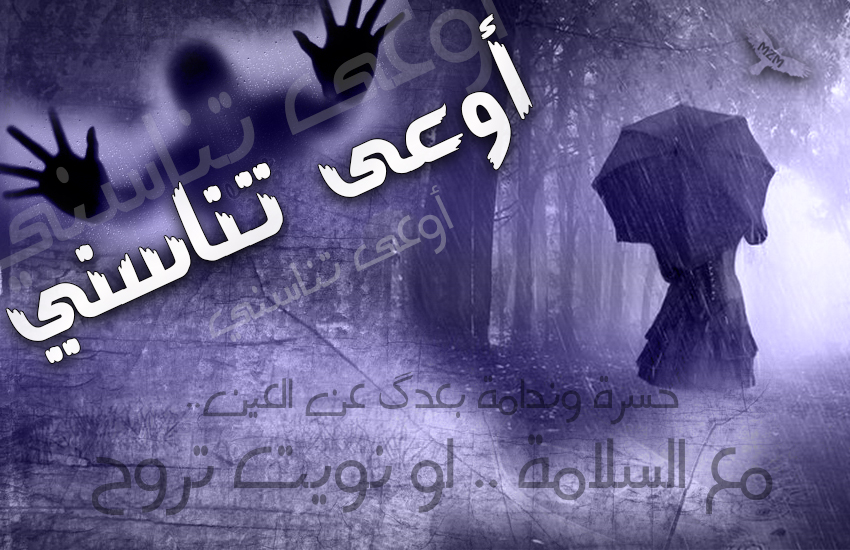 bntpal.com_144671447