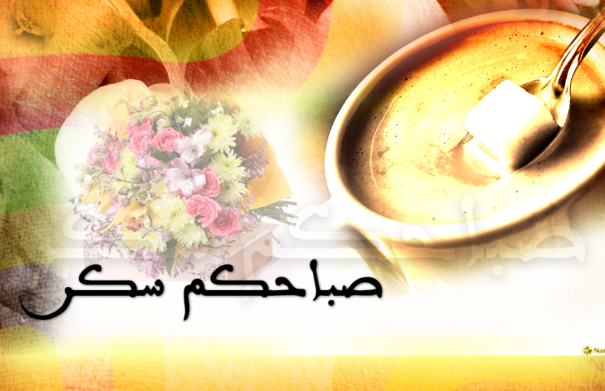 bntpal.com_144697010