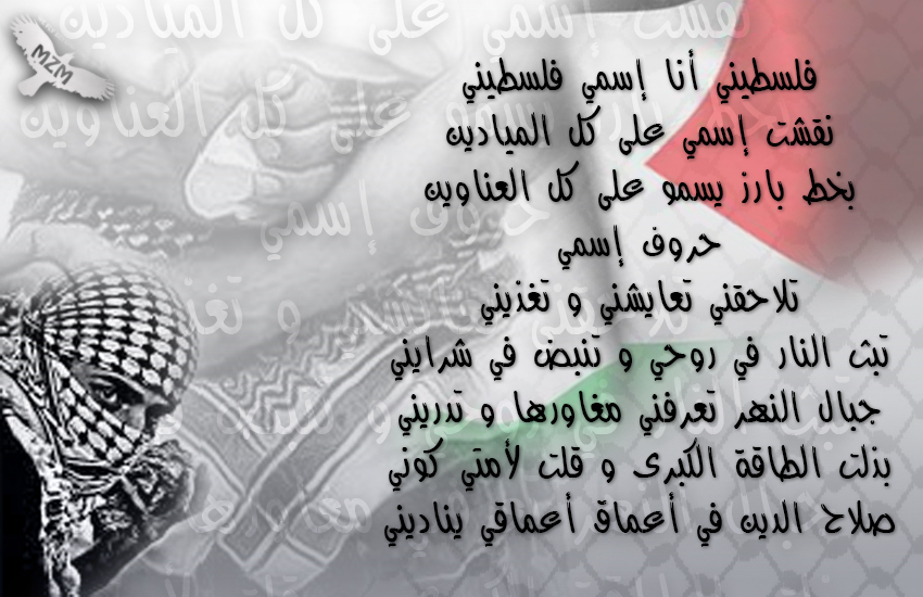 bntpal.com_144698695