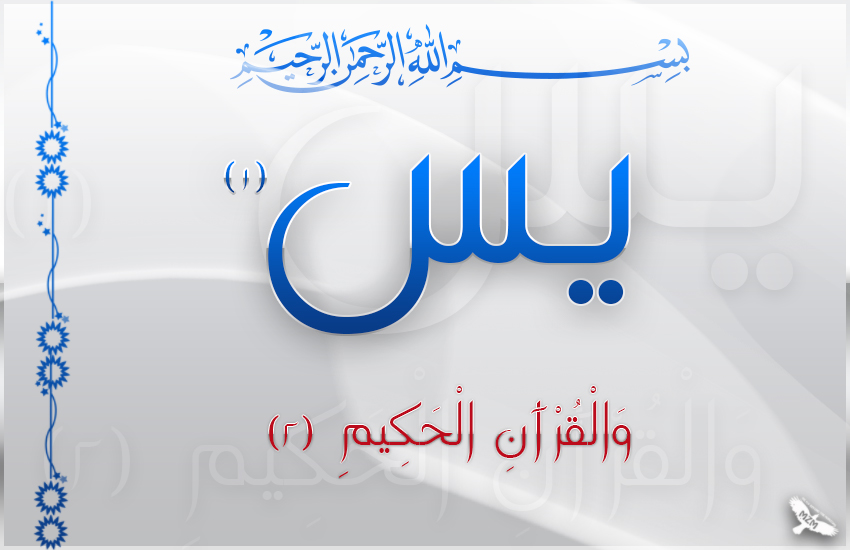 bntpal.com_144707416