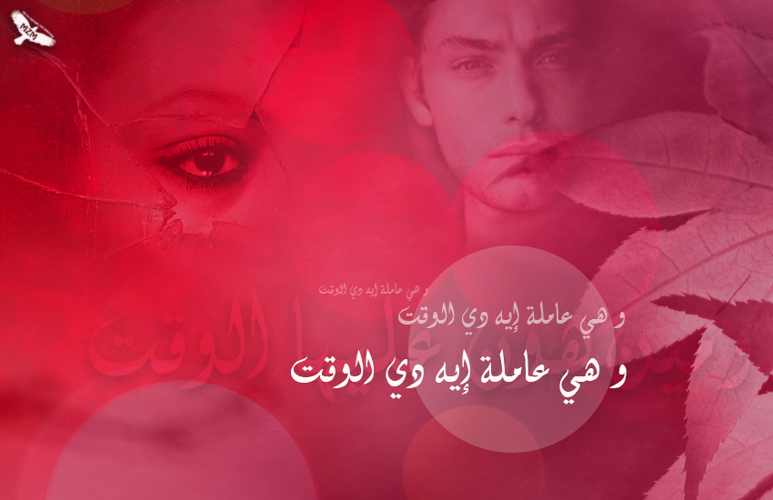 bntpal.com_144714590