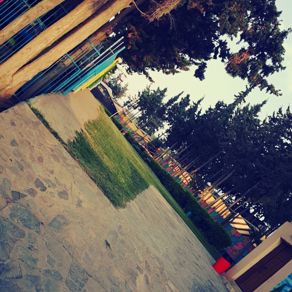  bntpal.com_144756314