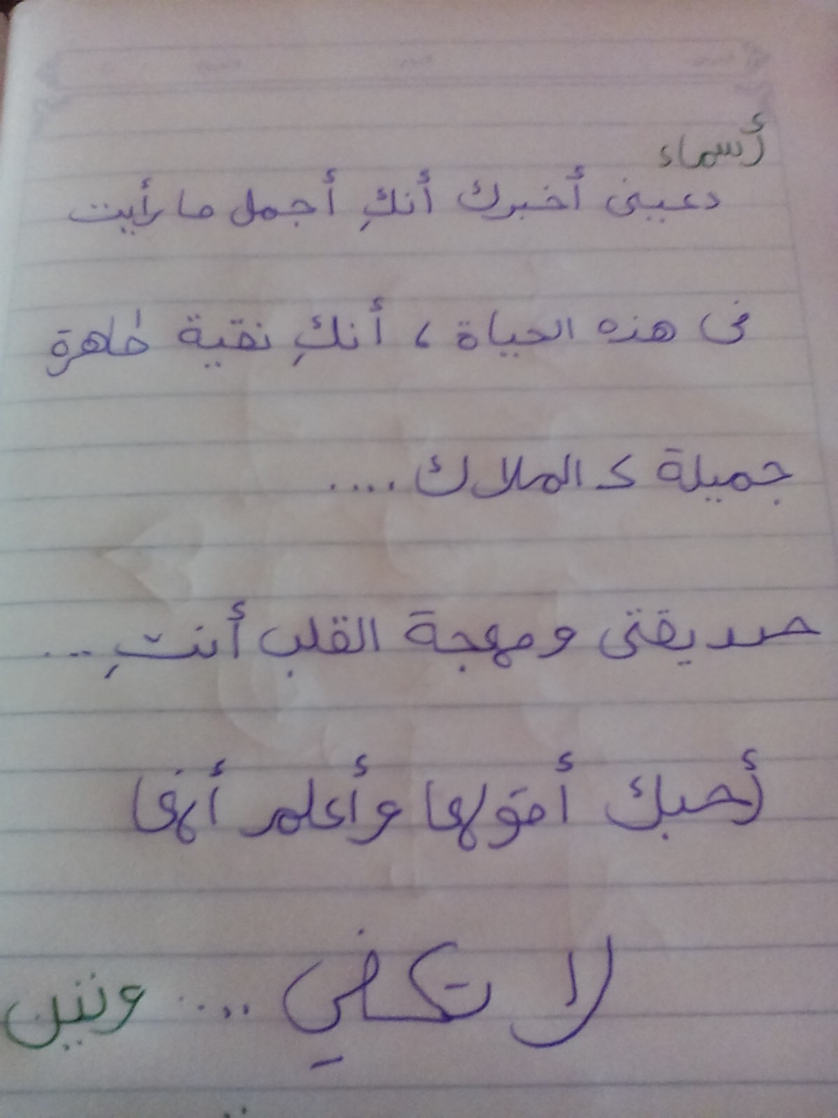  bntpal.com_144758907