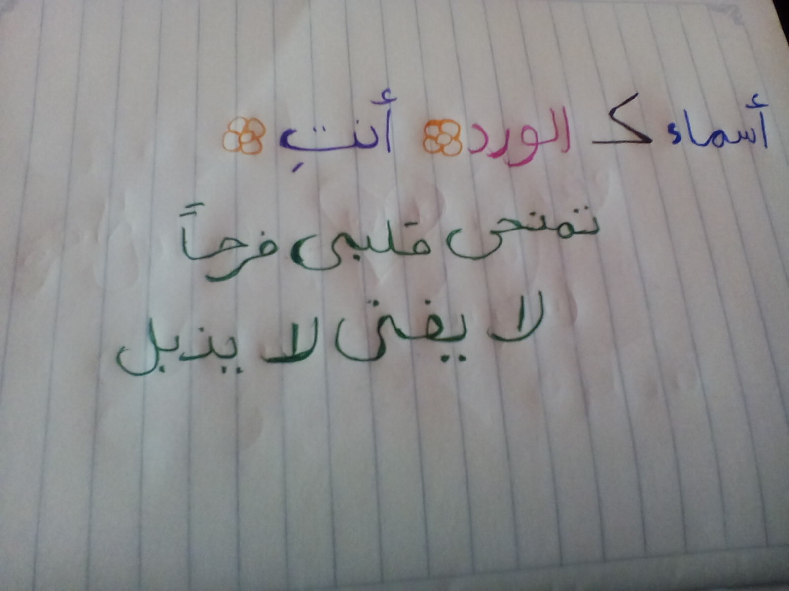  bntpal.com_144758907