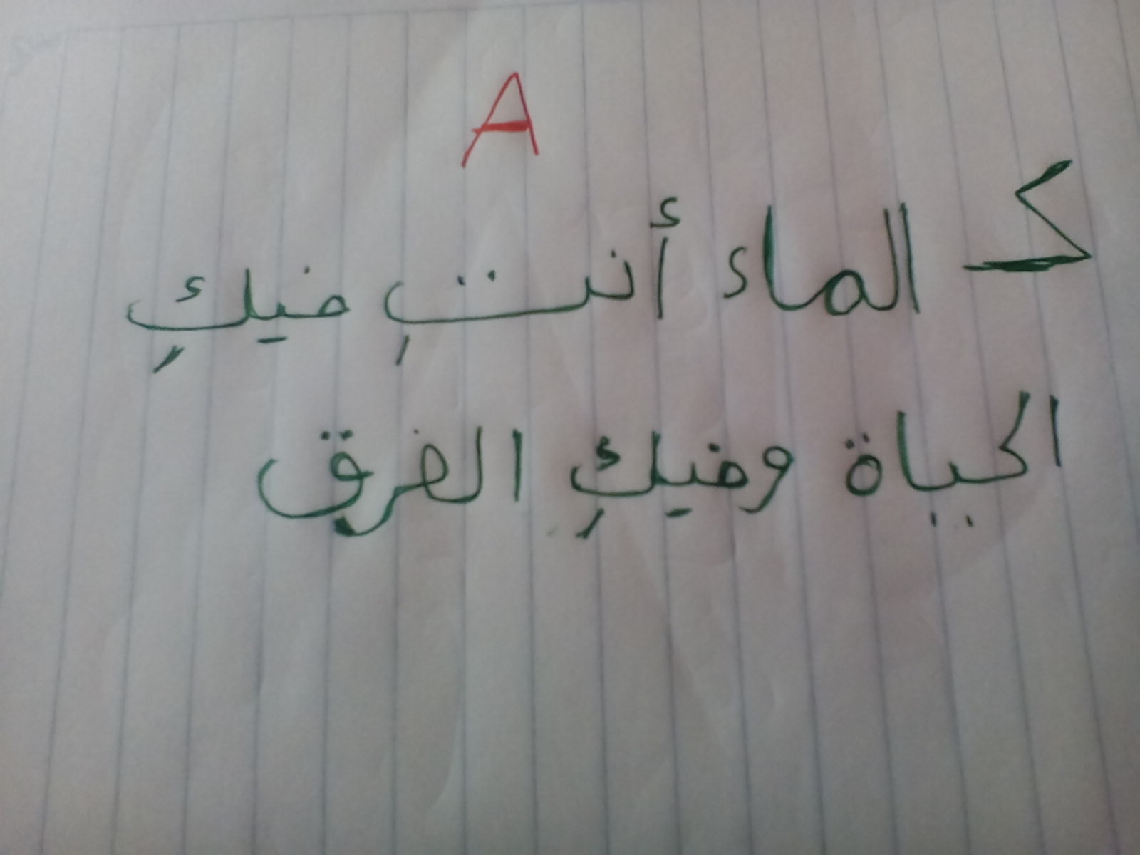  bntpal.com_144758907