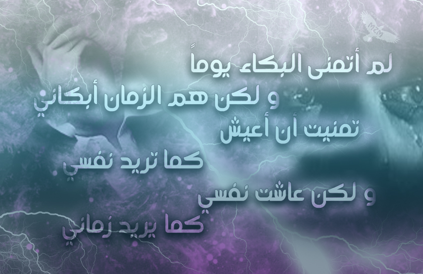 bntpal.com_144767776