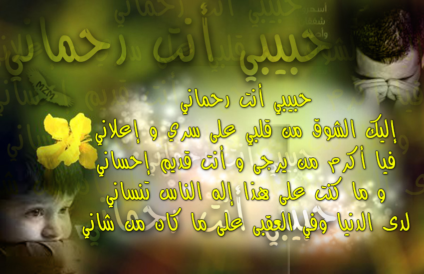 bntpal.com_144767786