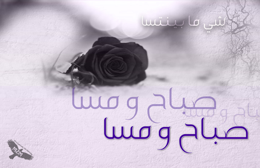 () bntpal.com_144774632