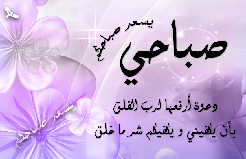 () bntpal.com_144774644