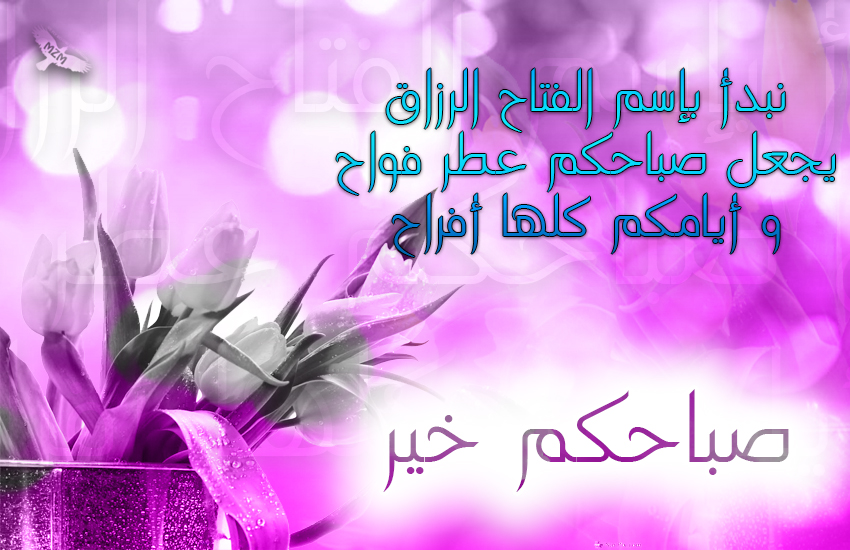 () bntpal.com_144774644