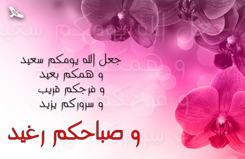 () bntpal.com_144774644