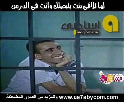 bntpal.com_144791945