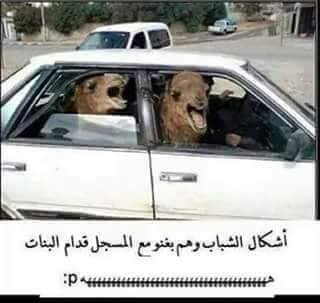  bntpal.com_144801699
