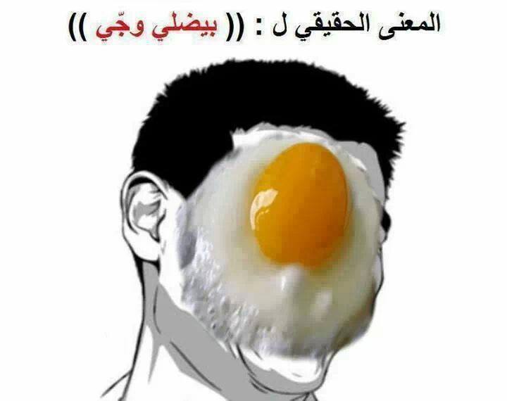  bntpal.com_144822184
