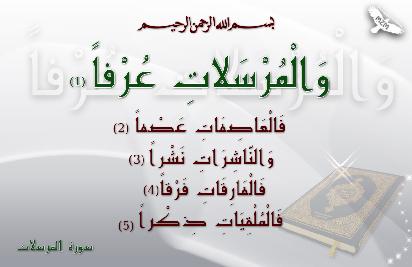 bntpal.com_144827846
