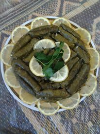 bntpal.com_144831901