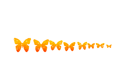  .. bntpal.com_144832322